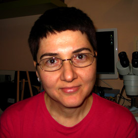 Dr Dragana Filipović